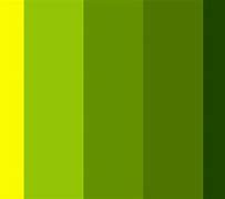 Image result for What Is Yellow and Green