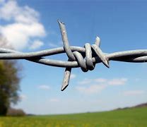 Image result for Barbed Wire