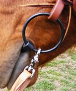 Image result for snaffle bits fit