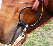 Image result for snaffle bits fit