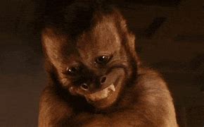 Image result for Who Dis New Phone GIF Monkey