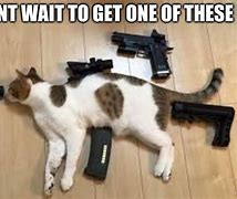 Image result for Cat Machine Gun Meme