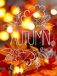 Image result for Hello Fall iPhone Wallpaper