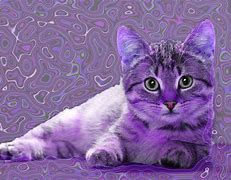 Image result for Purple Pink Cat