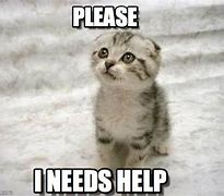 Image result for I Need Help Funny Meme