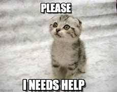 Image result for I Need Help Quick Meme