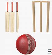 Image result for Objects Associated with Cricket