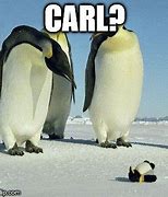 Image result for Initial D Penguin Meme