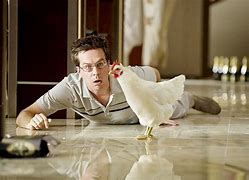 Image result for Stu From Hangover