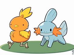 Image result for Torchic Mudkip
