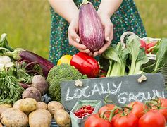 Image result for Local Farm Food