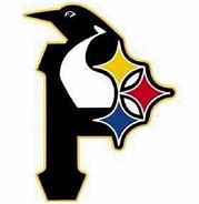 Image result for Pittsburg Steelers and Penguins