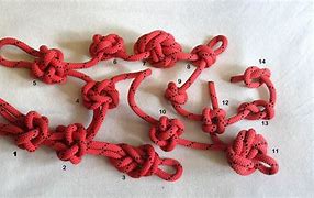 Image result for Lanyard Glips