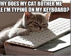 Image result for Keyboard Meme