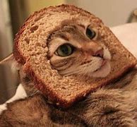 Image result for Talking Bread Meme