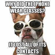 Image result for Funny Dog with Glasses