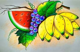 Image result for Fruit Drawing Ideas
