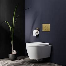 Image result for Concealed Cistern with Brushed Brass Button