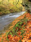 Image result for Afon Tywi On Map