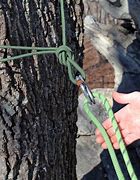 Image result for Rope Lock for Tree Climbing Gear