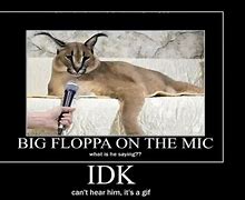 Image result for Flopper Cat Meme