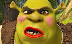 Image result for Sassy Shrek