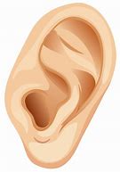 Image result for Free Ear Clip Art Images