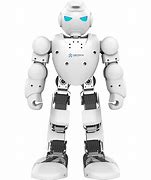 Image result for Humaid Robot