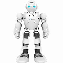 Image result for Figure 01 Humanoid Robot