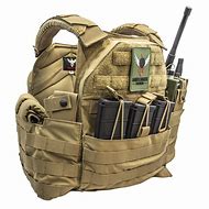 Image result for Shell Black Tactical Plate Carrier