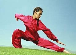 Image result for Wu Tai Chi Chuan