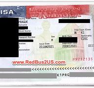 Image result for Visa Number Example