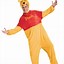 Image result for Winnie the Pooh Costume