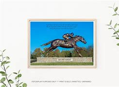 Image result for Racehorse Photography