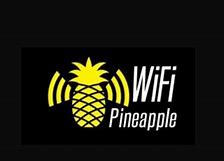 Image result for Network Pineapple