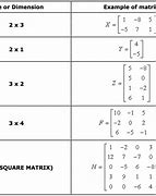 Image result for 2 by 3 Matrix