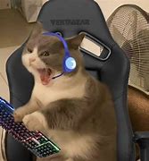 Image result for Raging Cat Meme