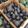 Image result for What Are Pluots Fruit