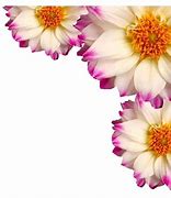 Image result for Pink and Green Flower Border