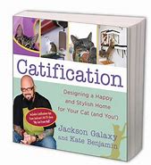 Image result for Jackson Galaxy Catification