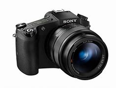 Image result for Sony RX10 Cage