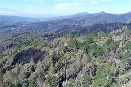 Image result for saint Francis Syrah Nuns Canyon