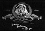 Image result for Metro Goldwyn Mayer Logo 2012