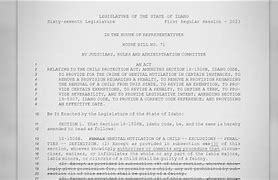 Image result for Idaho ban on gender-affirming care for minors