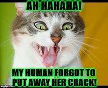 Image result for Crack Katze Meme