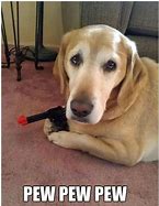 Image result for Animals 1080X1080 Memes
