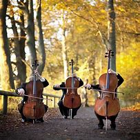 Image result for Musician Photography