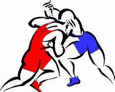 Image result for Wrestling Cartoon Images