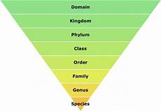 Biodiversity And Biological Classification Grade 11