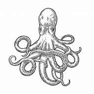Image result for Cool Octopus Drawing